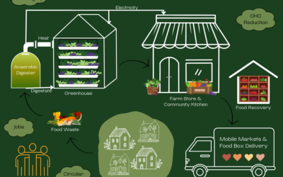 Circular Economy: Transforming Local Food Systems for Sustainable Growth