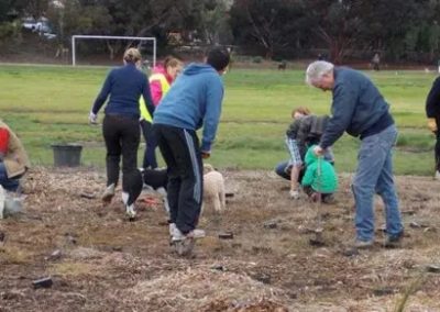 Essendon North Clean Up