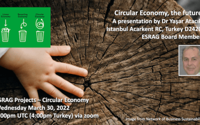 Principles and Promise of Circular Economy