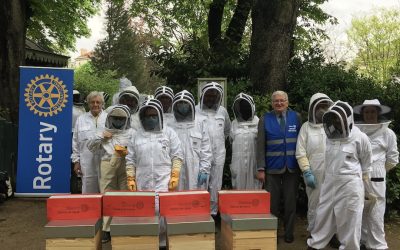 Huge Boost for French Bees