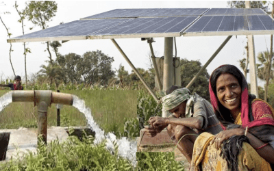 AgriVoltaics: Revolutionary Sustainability Solution for Indian Farmers