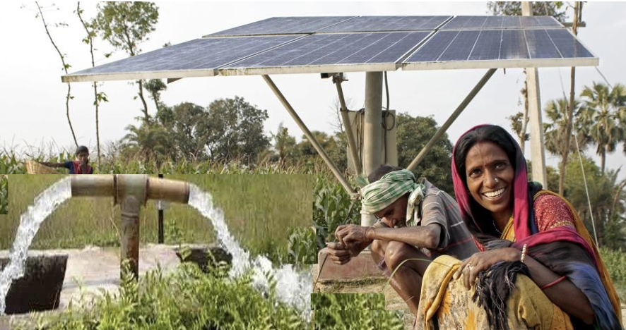 AgriVoltaics: Revolutionary Sustainability Solution for Indian Farmers