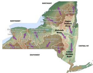 New York watersheds