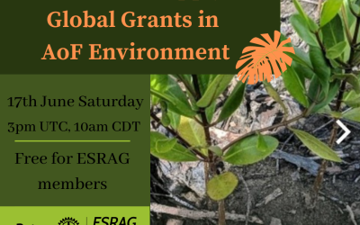 Environment Global Grants Webinar