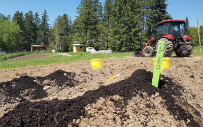 Scaling Biochar to Restore Soils