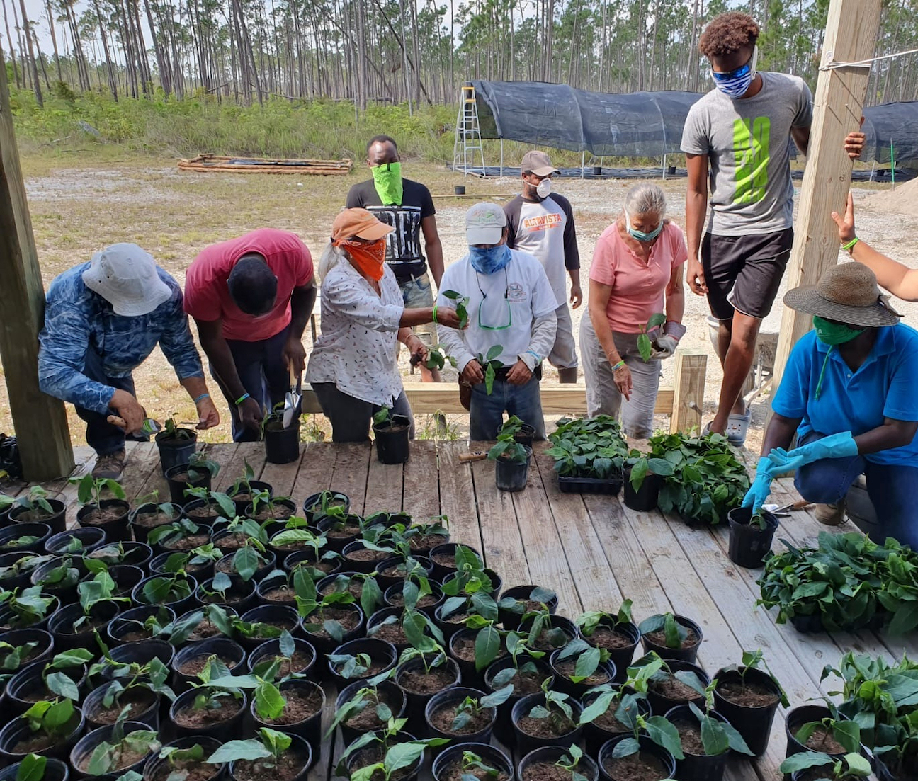 Flourishing Partnership with Trees that Feed Foundation