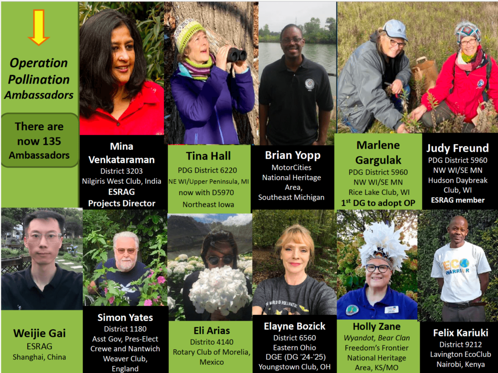 Pictures of 11 Operation Pollinator Ambassadors who are working to protect butterflies.