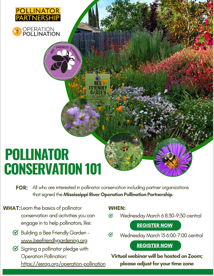 Pollinator Conservation Flyer.