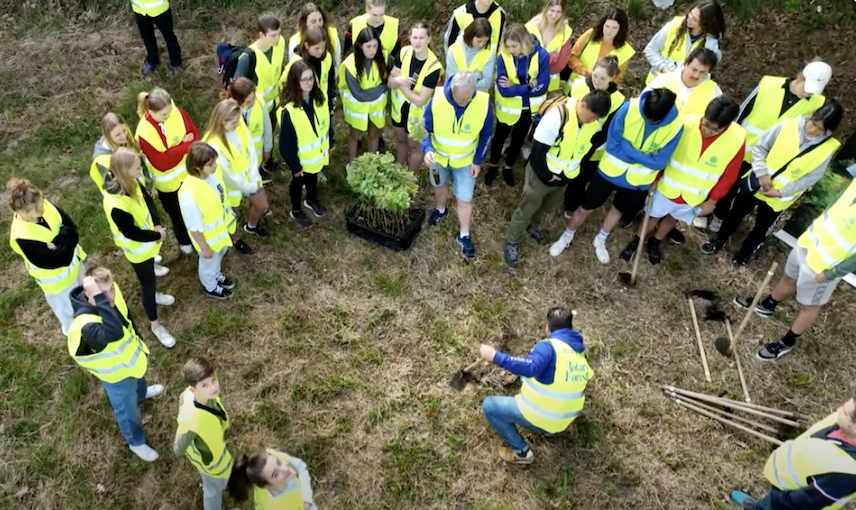 Group of people planting trees.