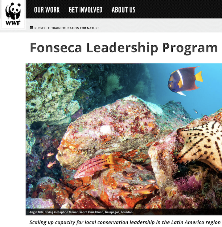 Latin Americans:  apply by May 15 for WWF fellowships in conservation