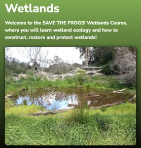Graphic with picture of a pond and description of the wetlands course.