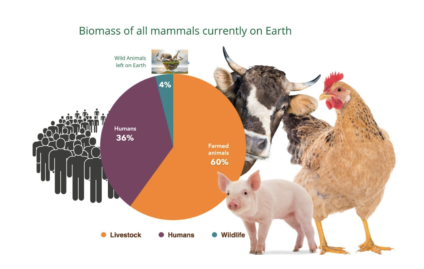Pie chart showing biomass of all animals on Earth
