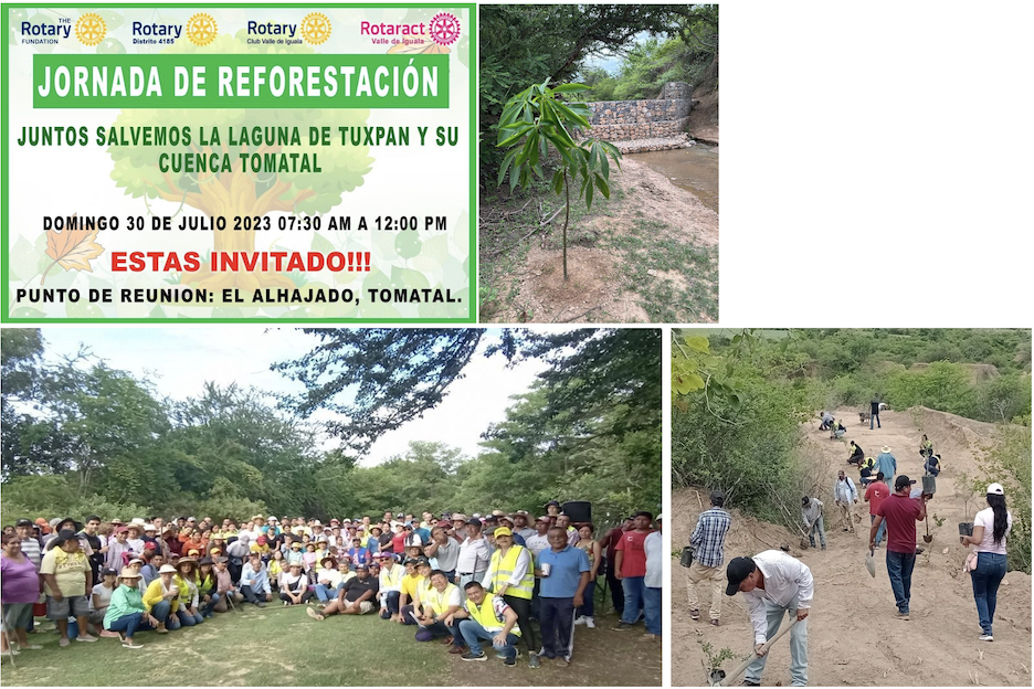 Collage of poster, tree, and groups of people planting trees during reforestation event.