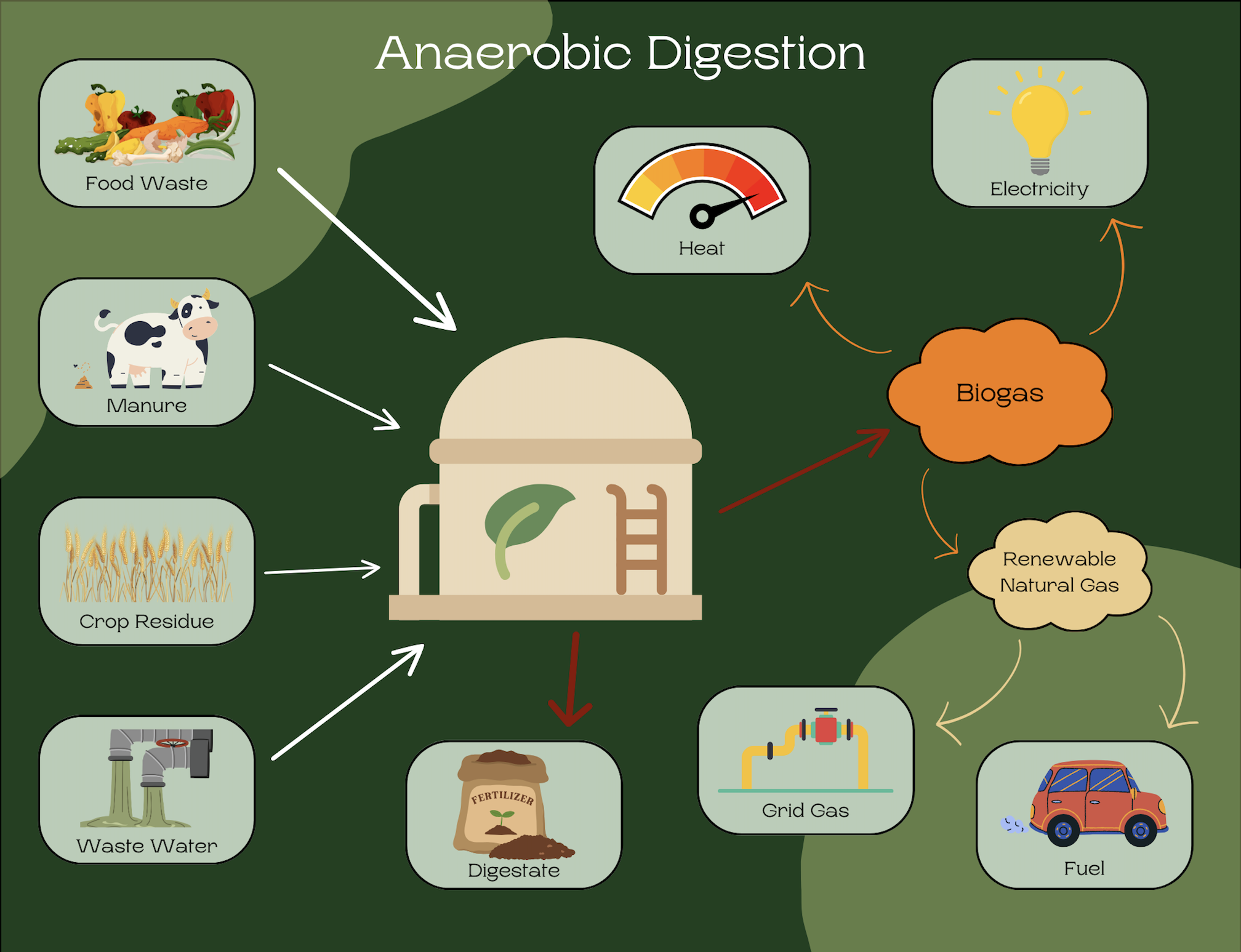 Anaerobic Digestion system showcasing how local food systems can be transformed through various processes.