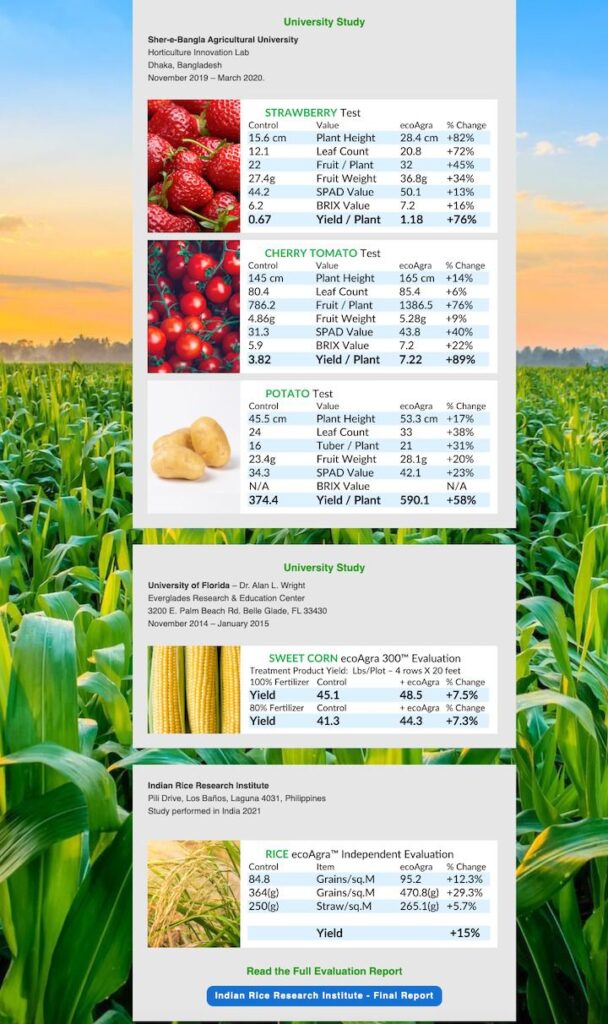 Crop Yields University study describing which crops lead to more sustainable solutions for farmers