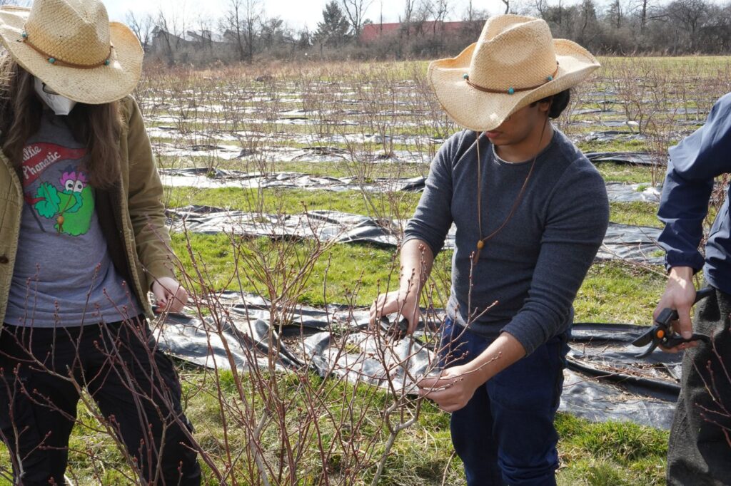 New Roots students wetlands work