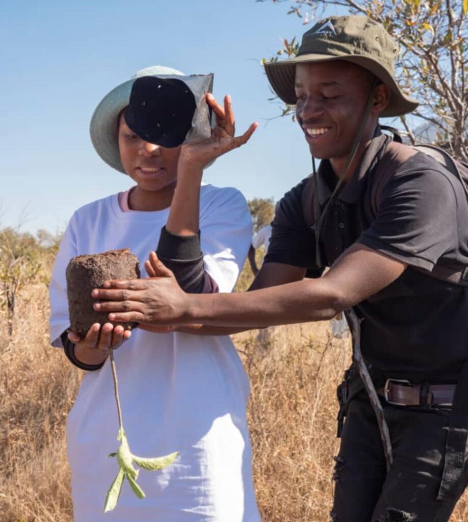 Green Hut Junior Councillors planting trees at Silwane Nature Reserve during the International Biodiversity day com