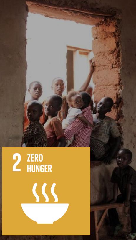 SDG 2_Zero Hunger