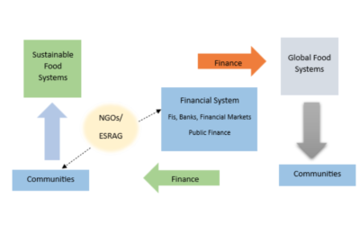 Transforming Food Systems Through Sustainable Finance