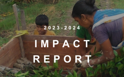 2023-2024 Impact Report: A Year of Growth and Global Action