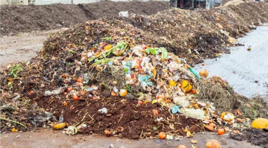 Image of organic waste in a landfill ansyvan / Adobe Stock