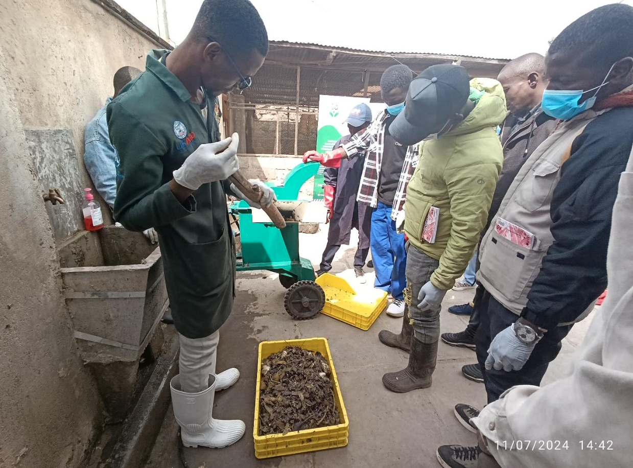 From Trash to Cash: Kenyan Startup Revolutionizing Organic Waste Management