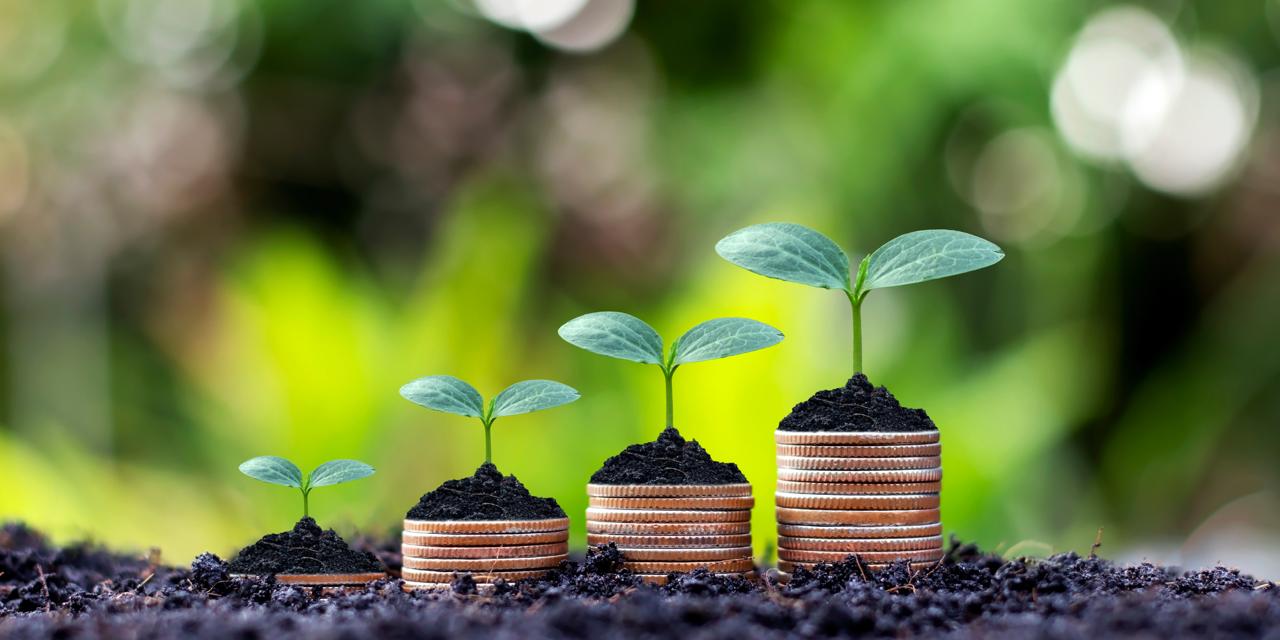 Aligning Profit with the Planet: The Future of Nature Finance