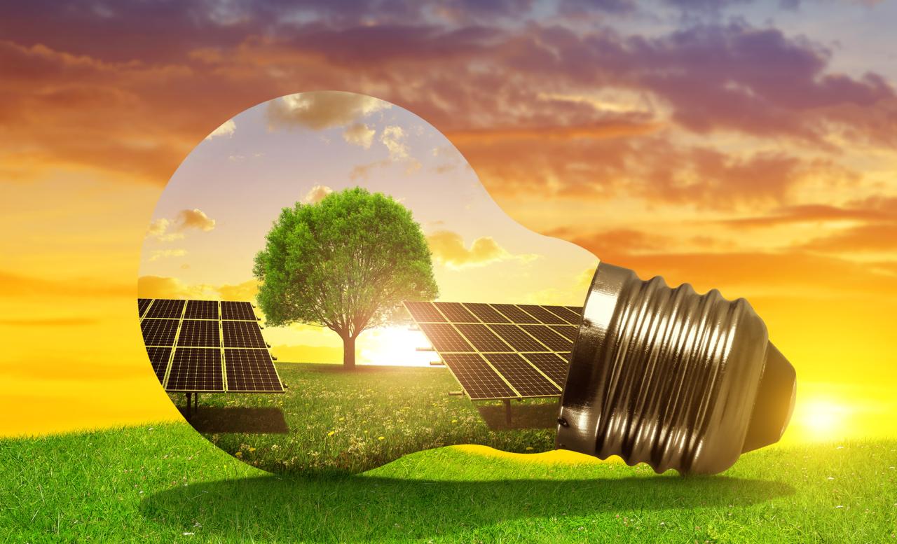 Becoming a “Solar Seeder”: How You Can Spark a Clean Energy Movement Even Without a Rooftop