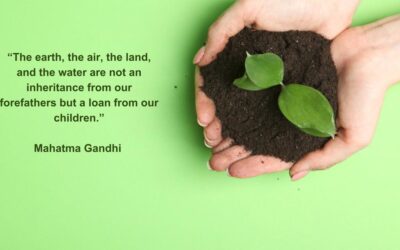 Environmental Stewardship – A Game Changer to Ensure a Clean, Green, Safe, and Better Environment for Sustainable Living