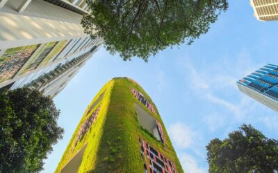 Investing in Biodiverse Landscapes for Economic Stability: A Path to Peace
