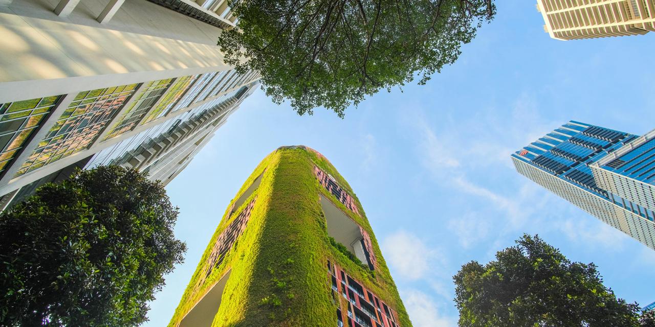 Biodiverse Finance